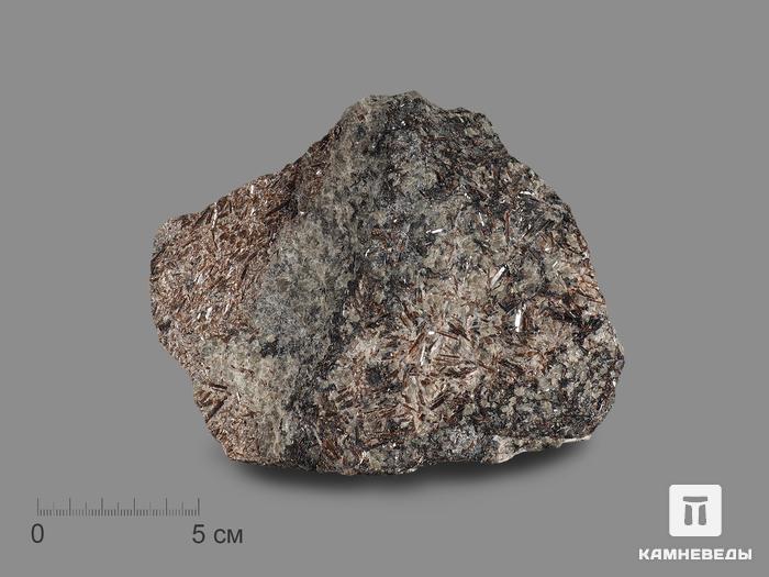 Титанит, 14,5х12х7,5 см, 17641, фото 1