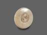 Медальон «Инь-ян» из белого нефрита, 5,8х0,8 см, 11642, фото 3