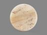 Медальон «Инь-ян» из белого нефрита 5,5х0,9 см, 11643, фото 3
