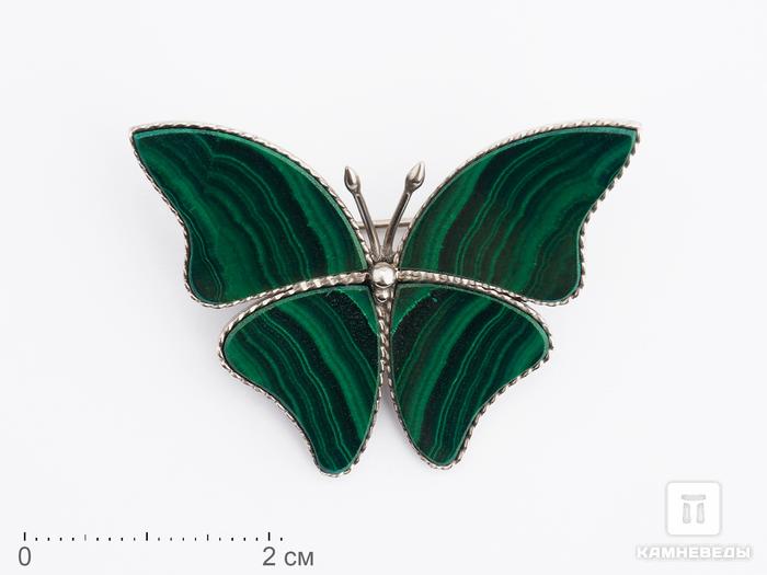 Брошь «Бабочка» с малахитом, 4,2х3,2 см, 9635, фото 1