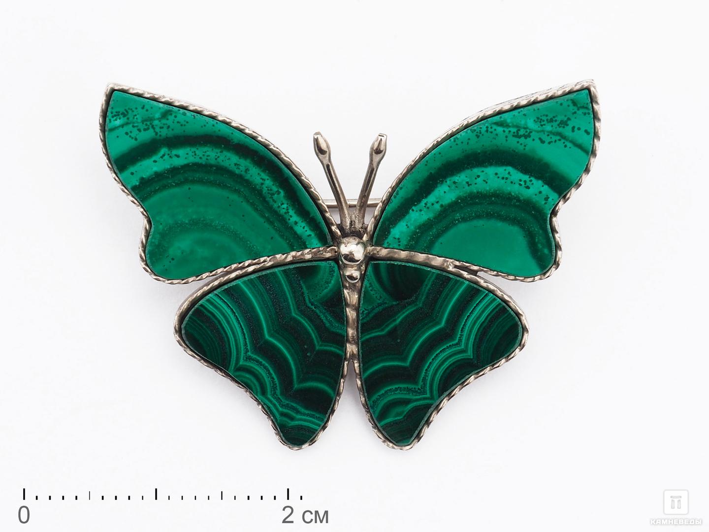Брошь «Бабочка» с малахитом, 3,8х2,9 см 3d art панно раскраска бабочка