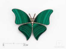 Брошь «Бабочка» с малахитом, 3,9х3,2 см