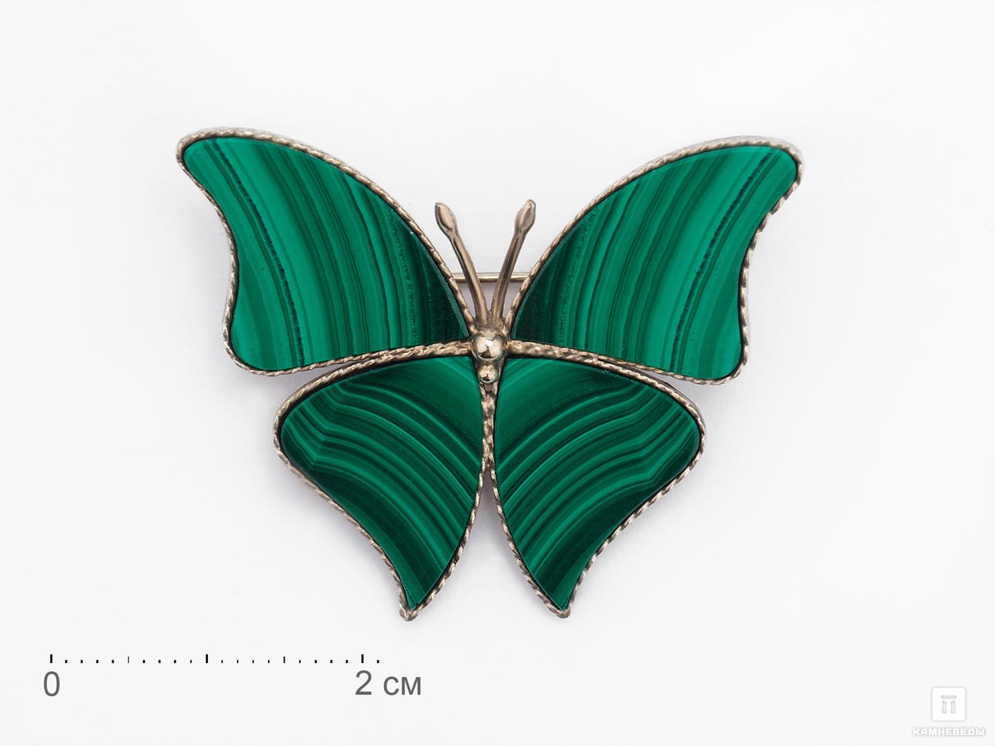 Брошь «Бабочка» с малахитом, 3,9х3,2 см аппликация бабочка 4 5 × 3 см