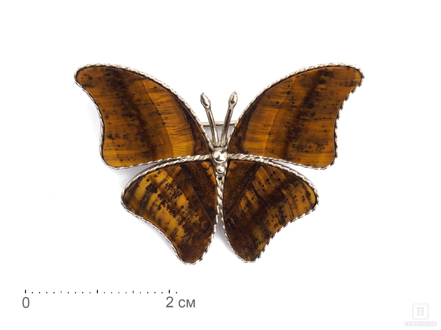 Брошь «Бабочка» с тигровым глазом, 3,9х3 см аппликация бабочка 4 5 × 3 см