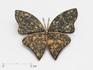 Брошь «Бабочка» с яшмой, 4,4х3,7 см, 17816, фото 1