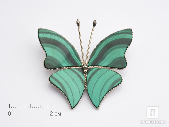 Брошь «Бабочка» с малахитом, 4,5х4х0,2 см, 17823, фото 1
