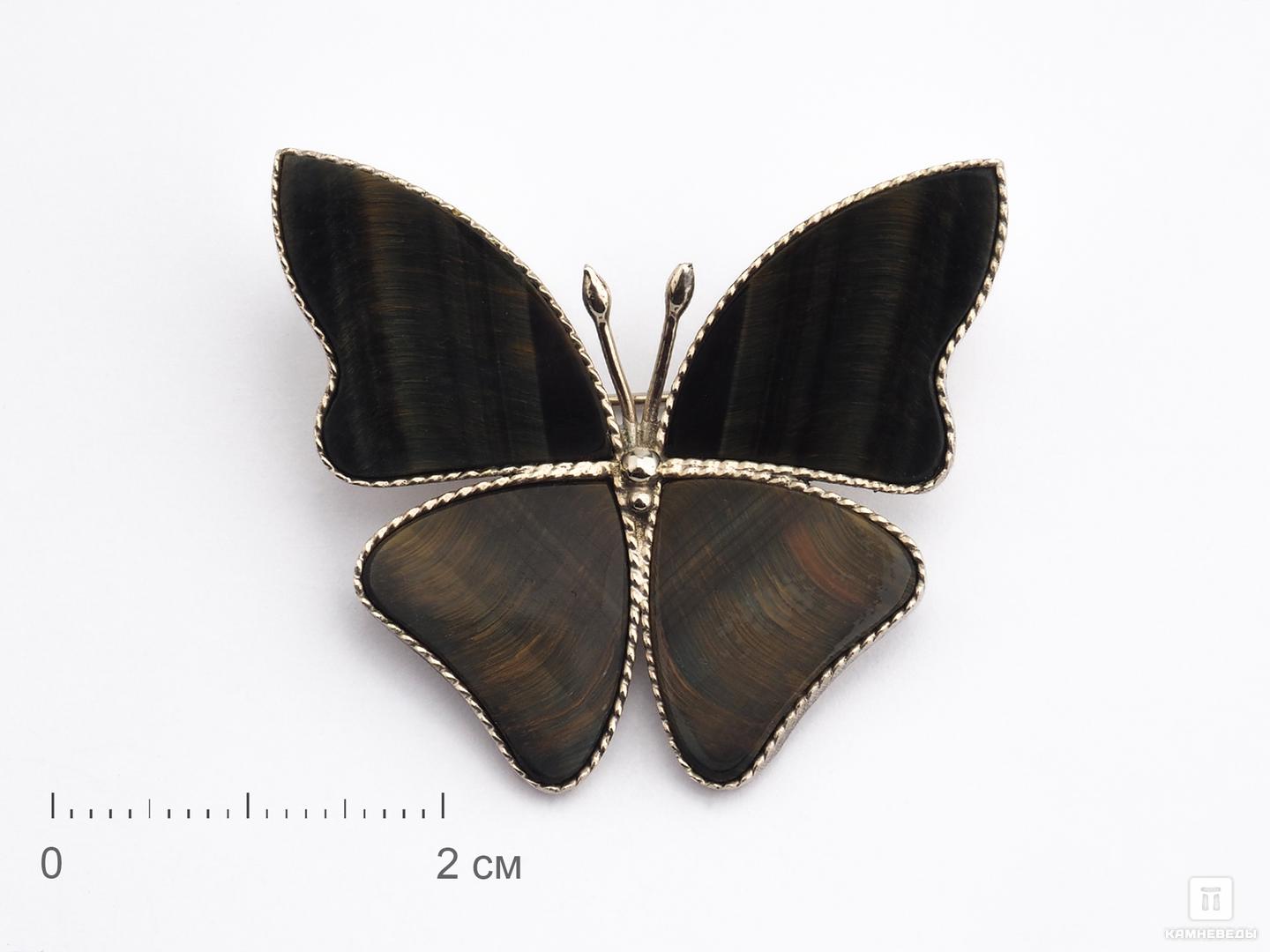 Брошь «Бабочка» с тигрово-соколиным глазом, 3,9х3,5 см аппликация бабочка 4 5 × 3 см