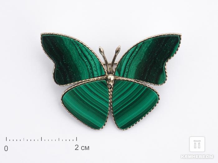 Брошь «Бабочка» с малахитом, 4х3 см, 9671, фото 1