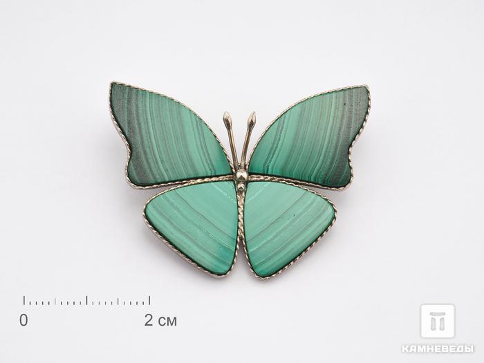 Брошь «Бабочка» с малахитом, 4,1х3,1 см, 1203, фото 1