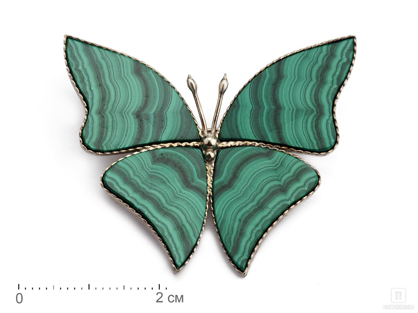 Брошь «Бабочка» с малахитом, 4,8х4,1х0,2 см аппликация бабочка 4 5 × 3 см