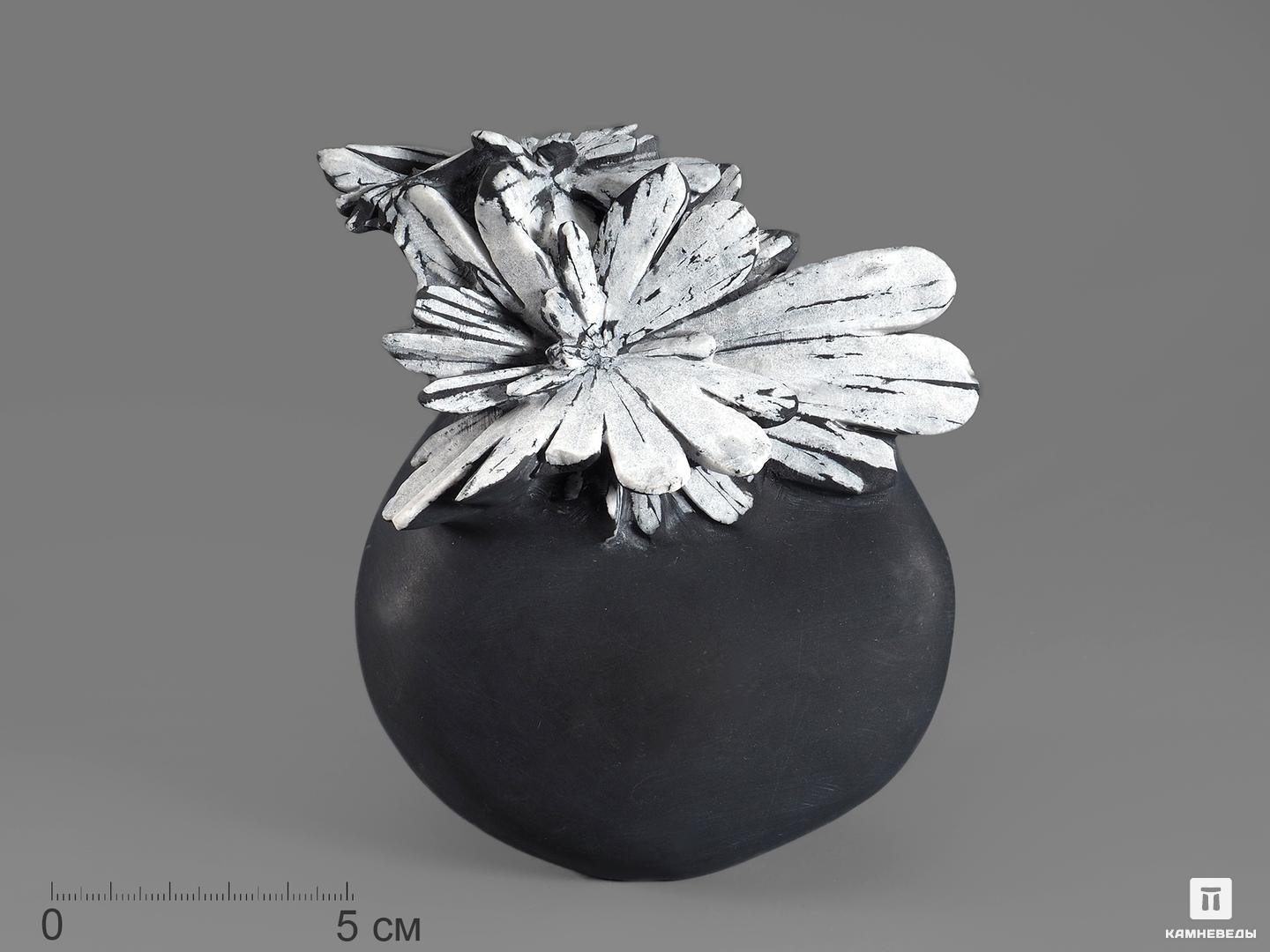 Целестин на аргиллите «хризантемовый камень», 12,6х11,5х7 см