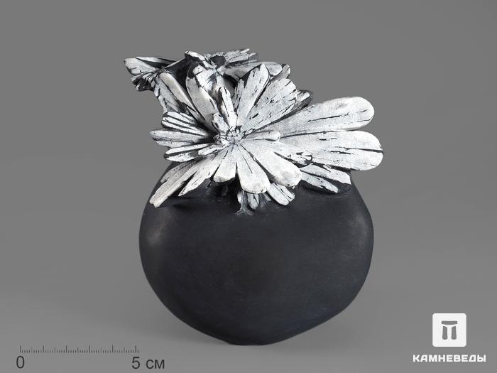 Целестин на аргиллите «хризантемовый камень», 12,6х11,5х7 см, 17915, фото 1