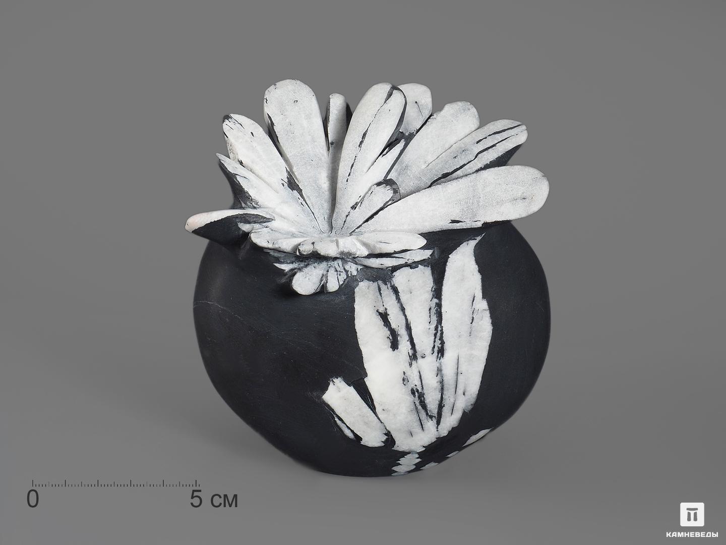 Целестин на аргиллите «хризантемовый камень», 10,3х9,8х6,4 см целестин на аргиллите хризантемовый камень 18 2х16 5х12 3 см