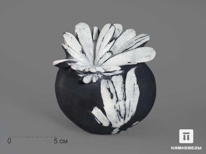 Целестин на аргиллите «хризантемовый камень», 10,3х9,8х6,4 см, 17916, фото 1