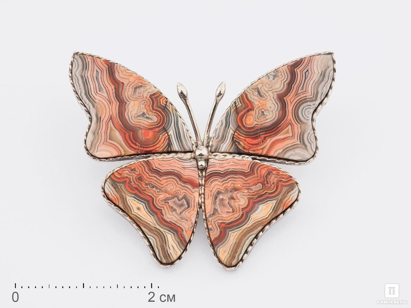 Брошь «Бабочка» с кружевным агатом, 3,9х3,3х0,2 см 3d art панно раскраска бабочка