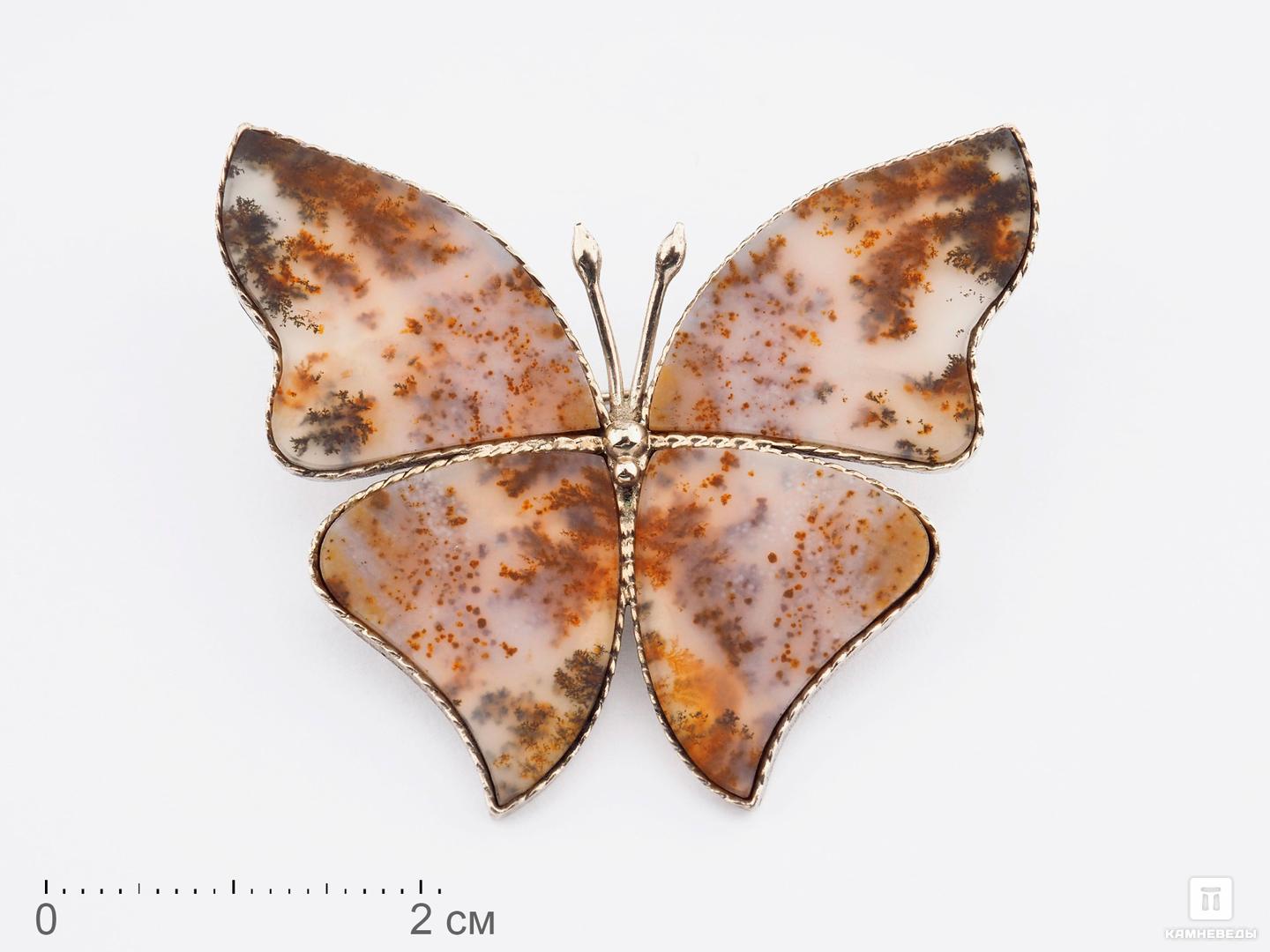 Брошь «Бабочка» с дендритовым агатом, 4,2х3,6х0,2 см 3d art панно раскраска бабочка