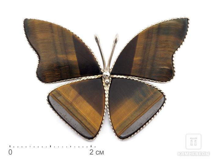 Брошь «Бабочка» с тигрово-соколиным глазом, 4,4х3,3х0,2 см, 9614, фото 1