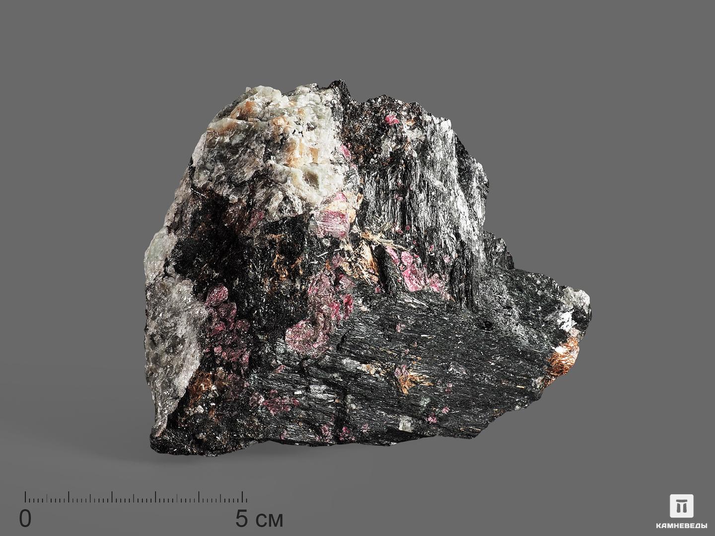 Эгирин с эвдиалитом, сросток кристаллов 11,3х10х5 см, 18093, фото 1
