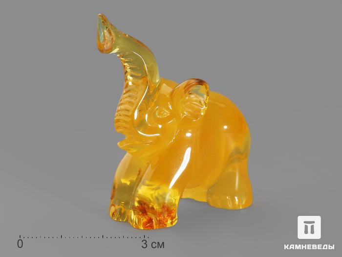 Слон из янтаря, резьба 5х4,8х2,2 см, 18083, фото 1