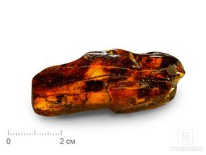 Янтарь с инклюзами, 5,7х2,5х2 см