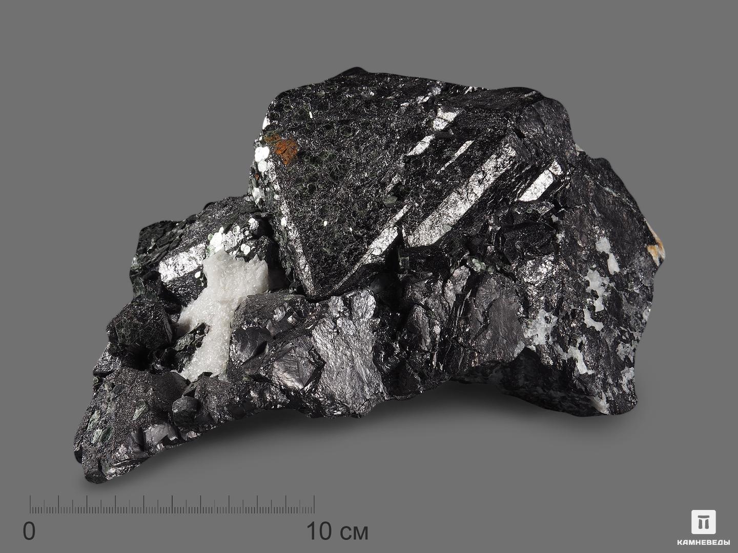 Магнетит, сросток кристаллов 18х13х10,2 см