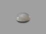 Лунный камень, кабошон 10 мм, 9-58/47, фото 3