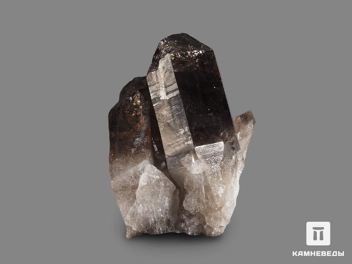 Раухтопаз (дымчатый кварц), сросток кристаллов 8,3х4,8 см, 10-100/79, фото 2