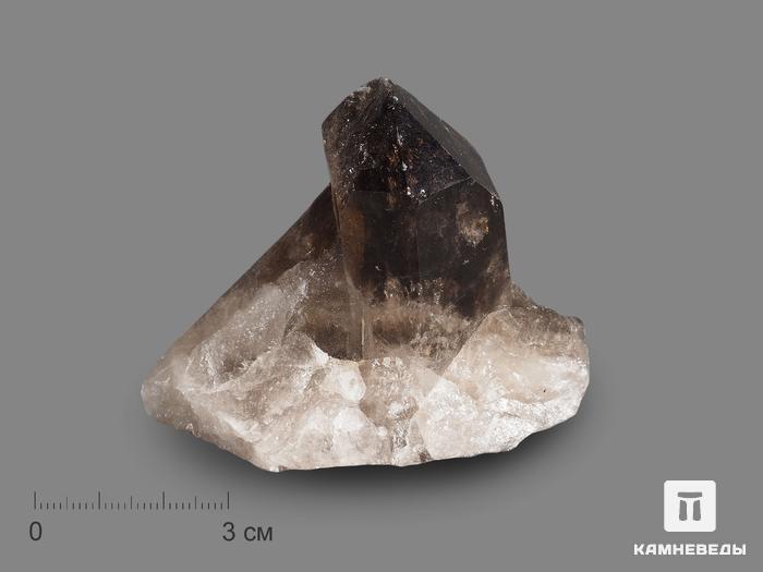 Раухтопаз (дымчатый кварц), сросток кристаллов 8,3х4,8 см, 10-100/79, фото 1