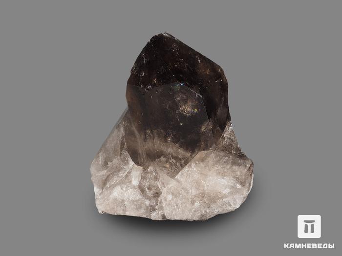 Раухтопаз (дымчатый кварц), сросток кристаллов 8,3х4,8 см, 10-100/79, фото 3