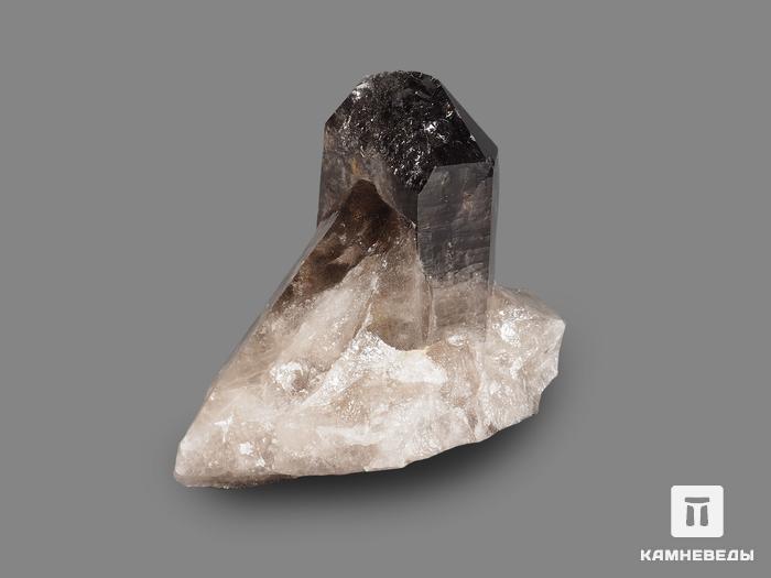Раухтопаз (дымчатый кварц), сросток кристаллов 8,3х4,8 см, 10-100/79, фото 4