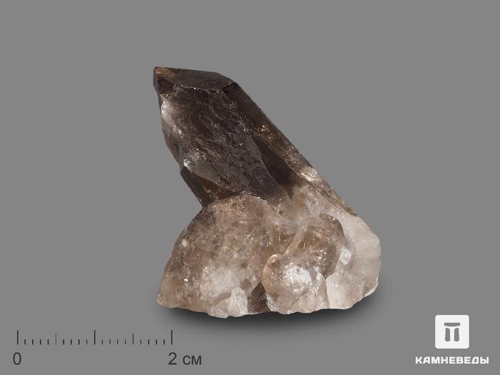 Дымчатый кварц (раухтопаз), сросток кристаллов 5х3,5 см, 17523, фото 1