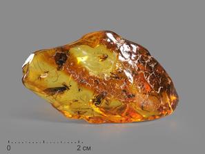 Янтарь с инклюзами, 5,3х2,9х1,9 см