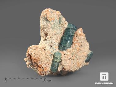 Апатит, Кальцит. Апатит синий, кристаллы в кальците 5,5-6,5 см