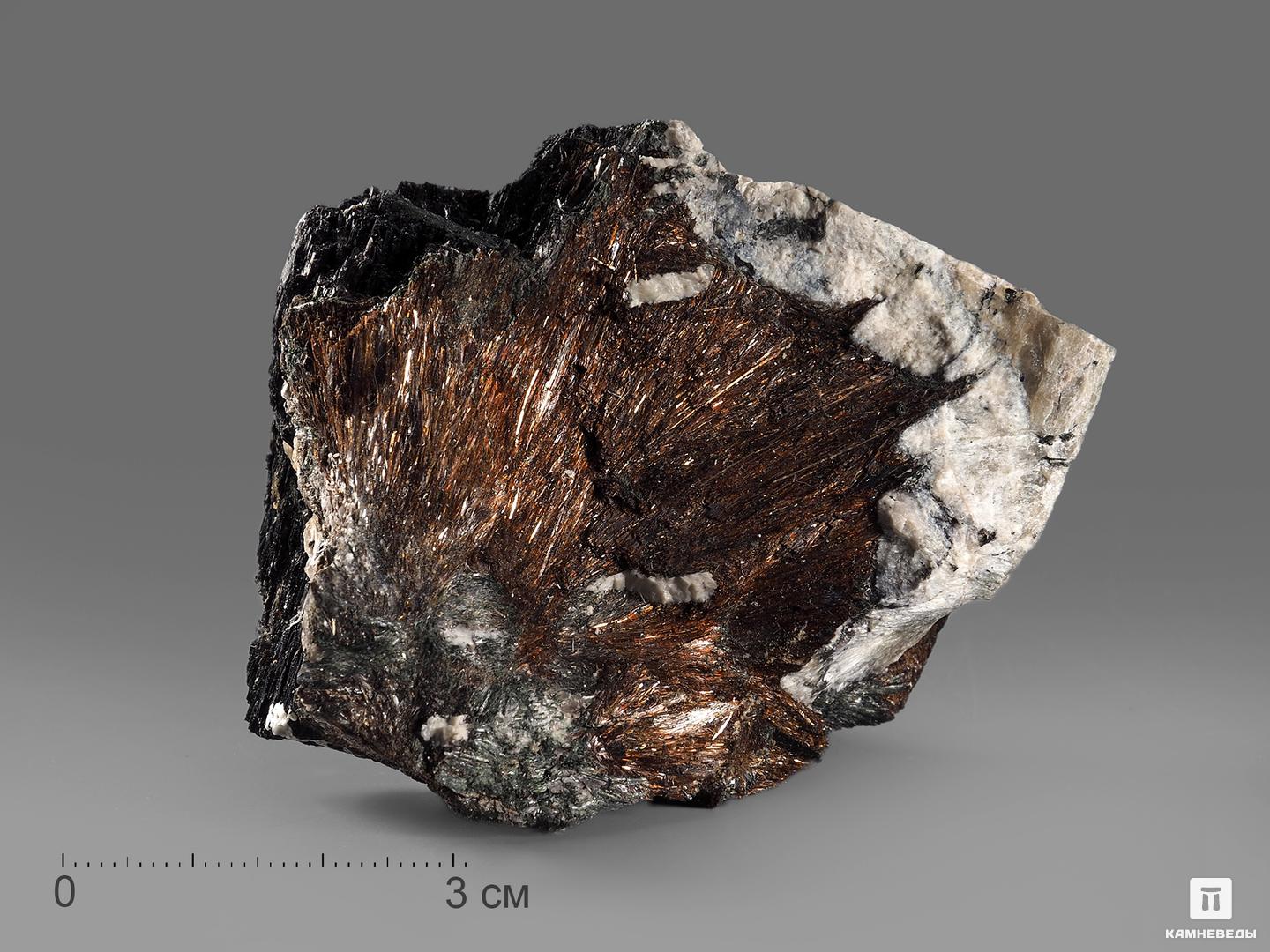 Астрофиллит, 6,5х4,5х4 см, 18228, фото 1