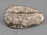 Волластонит-геденбергит-датолитовый скарн со змеевиком, полировка 15,5х9,2х1 см, 18360, фото 1