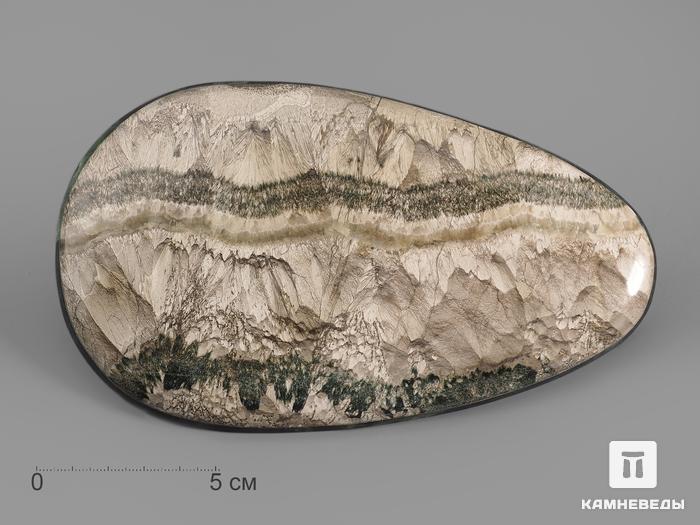 Волластонит-геденбергит-датолитовый скарн со змеевиком, полировка 15,5х9,2х1 см, 18360, фото 1