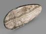 Волластонит-геденбергит-датолитовый скарн со змеевиком, полировка 15,5х9,2х1 см, 18360, фото 2