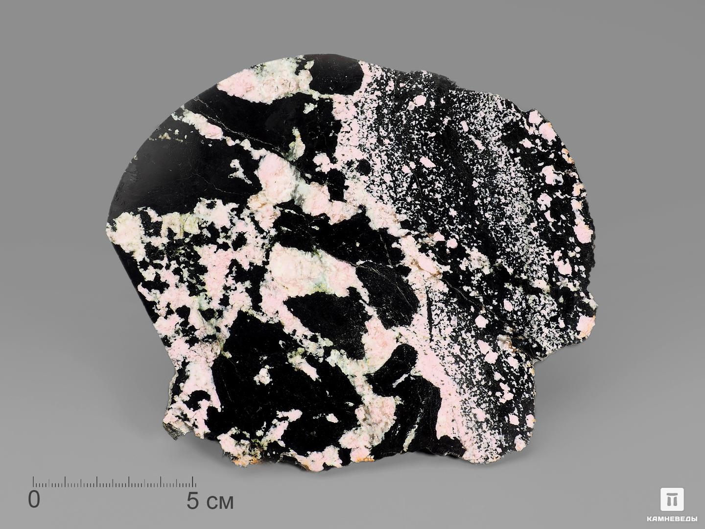 Тулит, полированный срез 15х13х1,3 см, 18384, фото 1