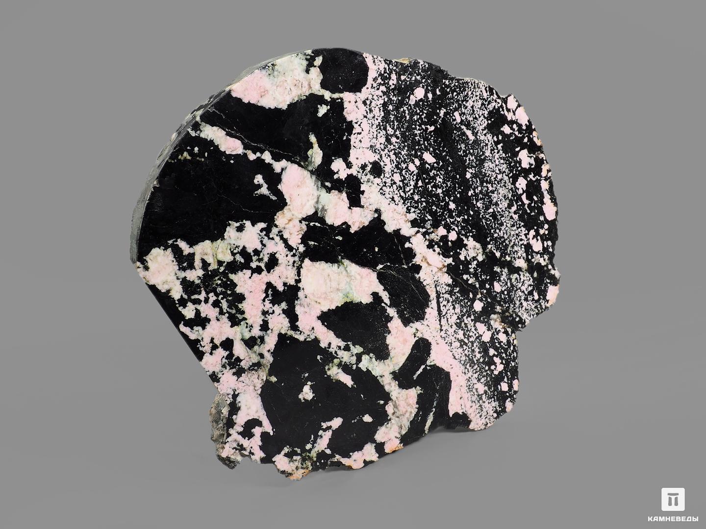 Тулит, полированный срез 15х13х1,3 см, 18384, фото 2