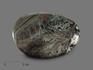 Тингуаит, полированная галька 10,5х7,2х1,7 см, 18356, фото 1