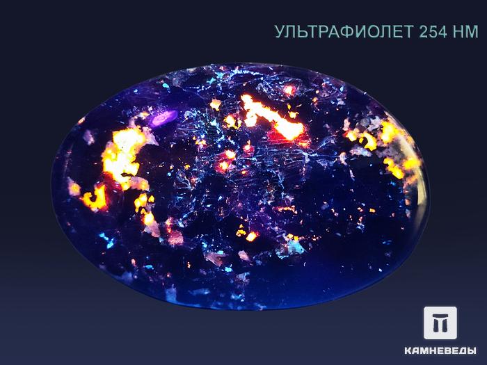 Эвдиалит с ильменитом, полированная галька 10х6,5х2,5 см, 18350, фото 4