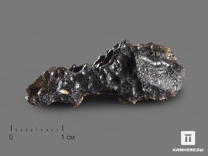 Индошинит, тектит 2-3,5 см (3-5 г), 18455, фото 1