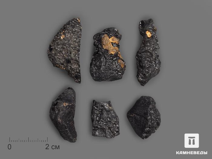 Индошинит, тектит 2-4 см (5-10 г), 18456, фото 2