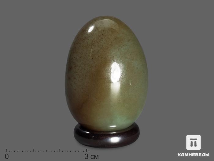 Яйцо из дендритового нефрита, 3,7х2,7 см, 18434, фото 1