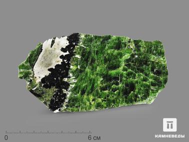 Хромдиопсид. Хромдиопсид, полированный срез 11х5,8х2,2 см
