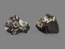 Аммониты с перламутром в породе, 8,8х7,5х2,8 см, 18544, фото 2