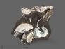 Аммониты с перламутром и пиритом в породе, 7,3х6х2,5 см, 18547, фото 2