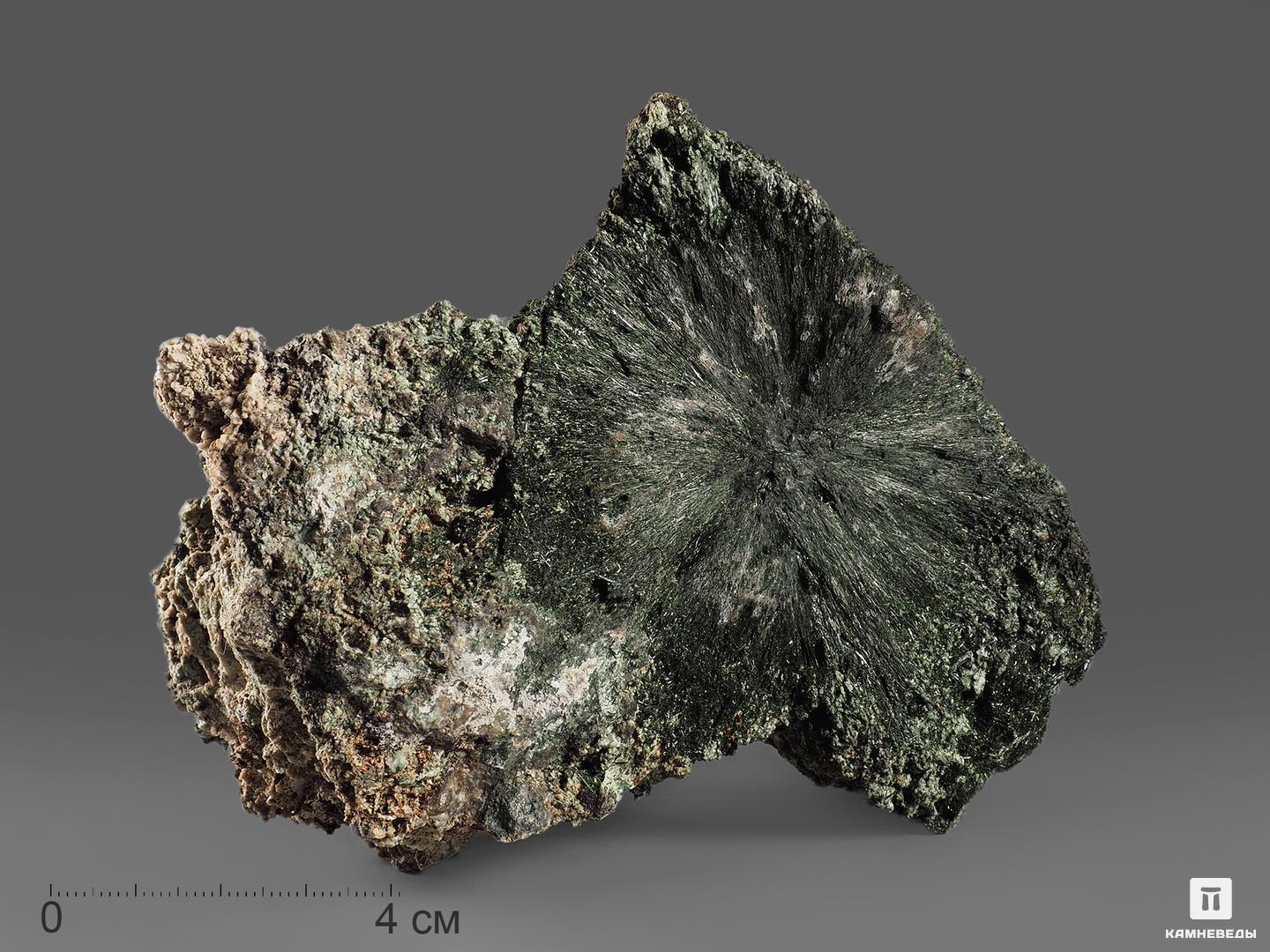 Эгирин, 13,5х10,8х8 см, 18574, фото 1