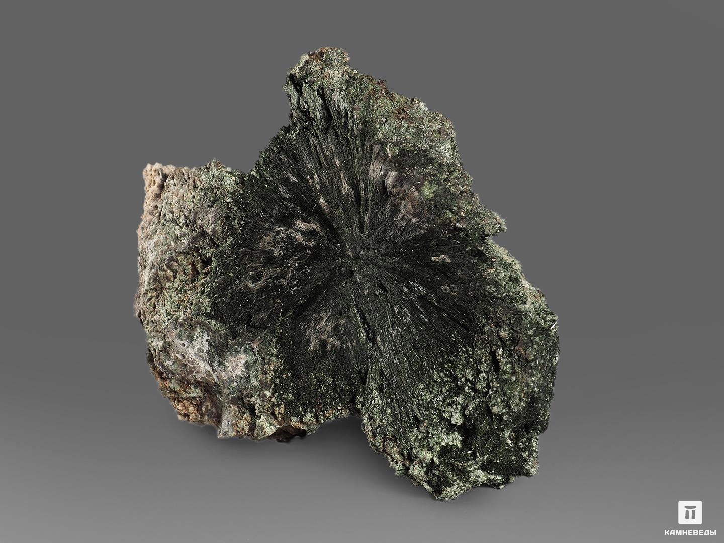 Эгирин, 13,5х10,8х8 см, 18574, фото 2