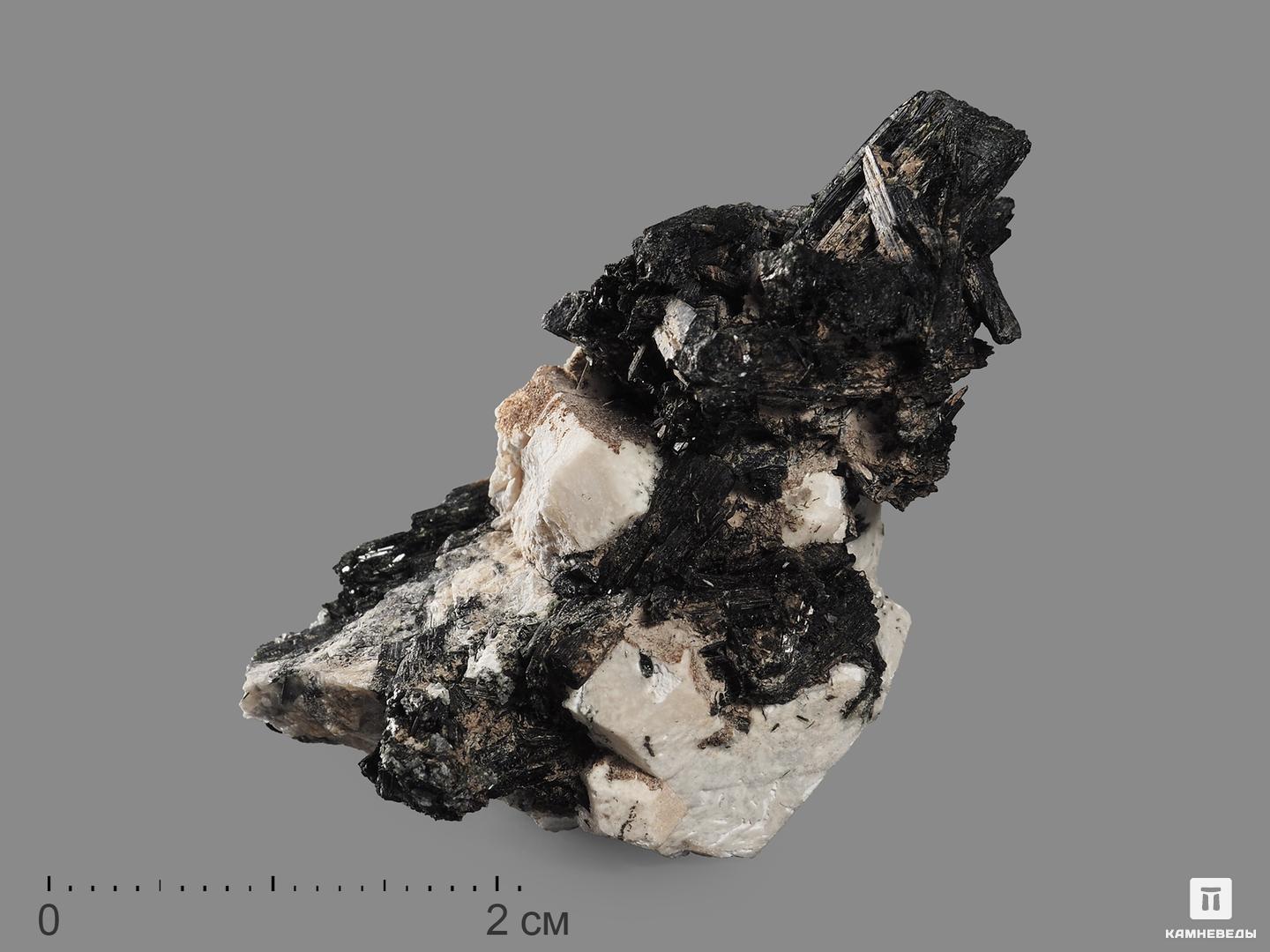 Псевдоморфоза натролита по содалиту, кристалл 4-5 см, 18589, фото 1